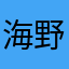 海野佐智