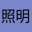 照明2013