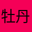牡丹花开31