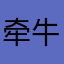 牵牛Amy
