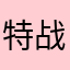 特战队大队长