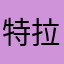 特拉维斯孙