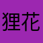 狸花猫Aria
