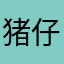猪仔琪琪