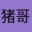 猪哥在上