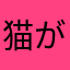 猫が病気。。。