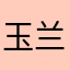 玉兰花橙子