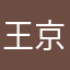 王京京V5