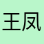 王凤龙1993