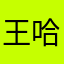 王哈哈在不在