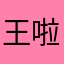 王大锤 啦