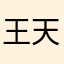 王天天看