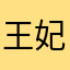王妃也许