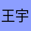 王宇看见