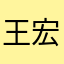 王宏伟加
