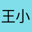 王小二i2