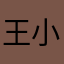 王小小小王吖