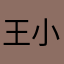 王小年v