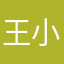 王小怡22245