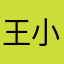 王小拐-