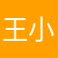 王小校