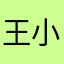 王小海