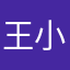 王小胖胖毛