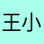 王小鹰
