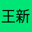 王新选