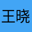 王晓平1213