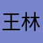 王林0906