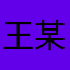 王某某等