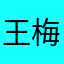 王梅姨