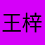 王梓涛20288