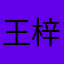 王梓萍