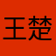 王楚伊