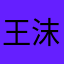 王沫漠