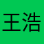 王浩然14号