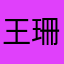 王珊5433