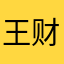 王财务