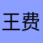 王费用h
