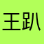 王趴蛋
