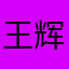 王辉6992