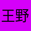王野🐶