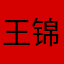 王锦娜dfgg