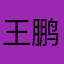 王鹏464