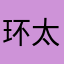 环太平村村长