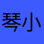 琴小小lady