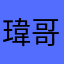 瑋哥119