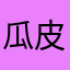 瓜皮子瓜粒子